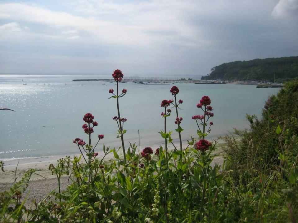 Cap Morgat Chez Jean Διαμέρισμα Κροζόν Εξωτερικό φωτογραφία
